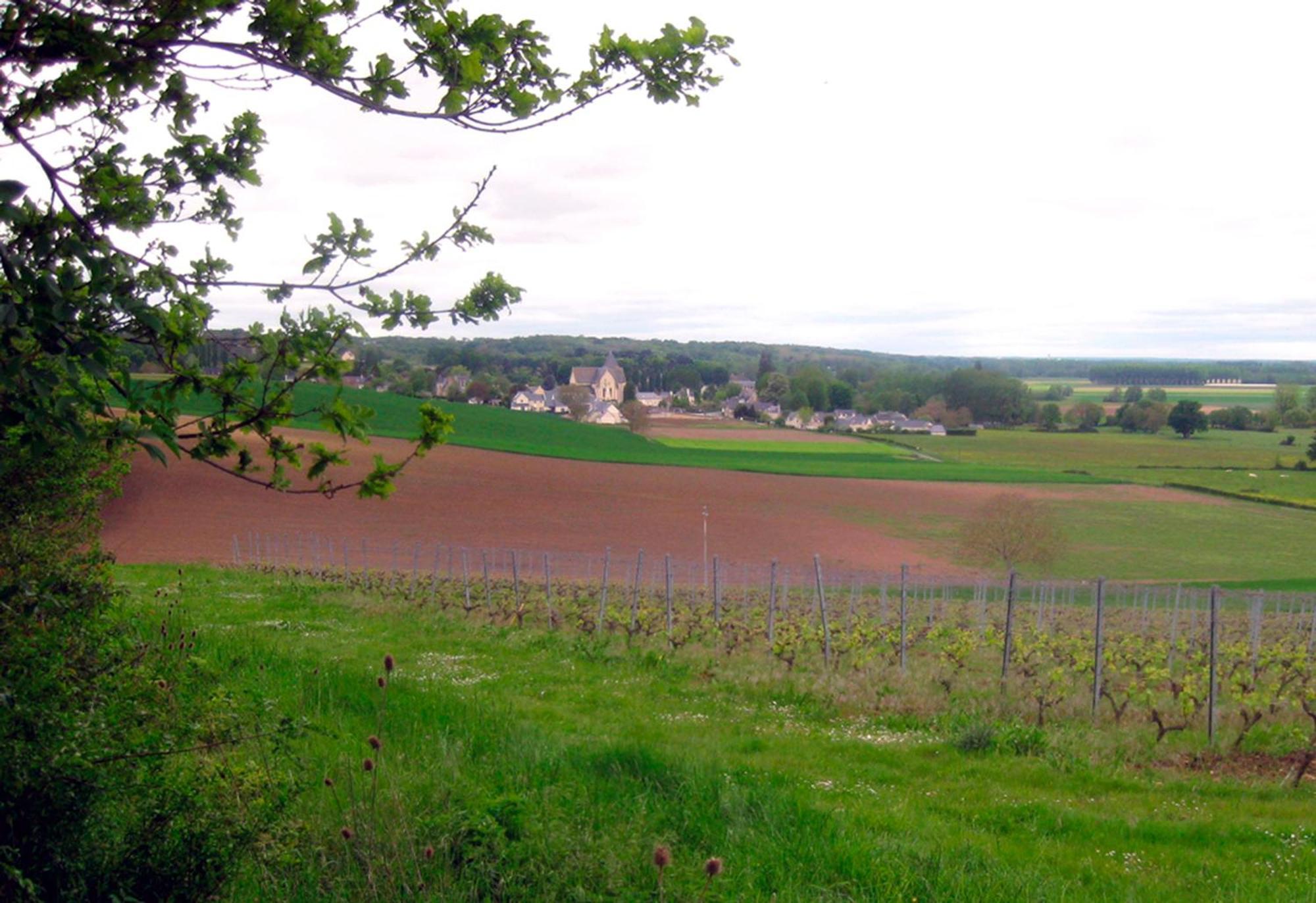 La Butte De Gohier Bed & Breakfast Blaison Dış mekan fotoğraf