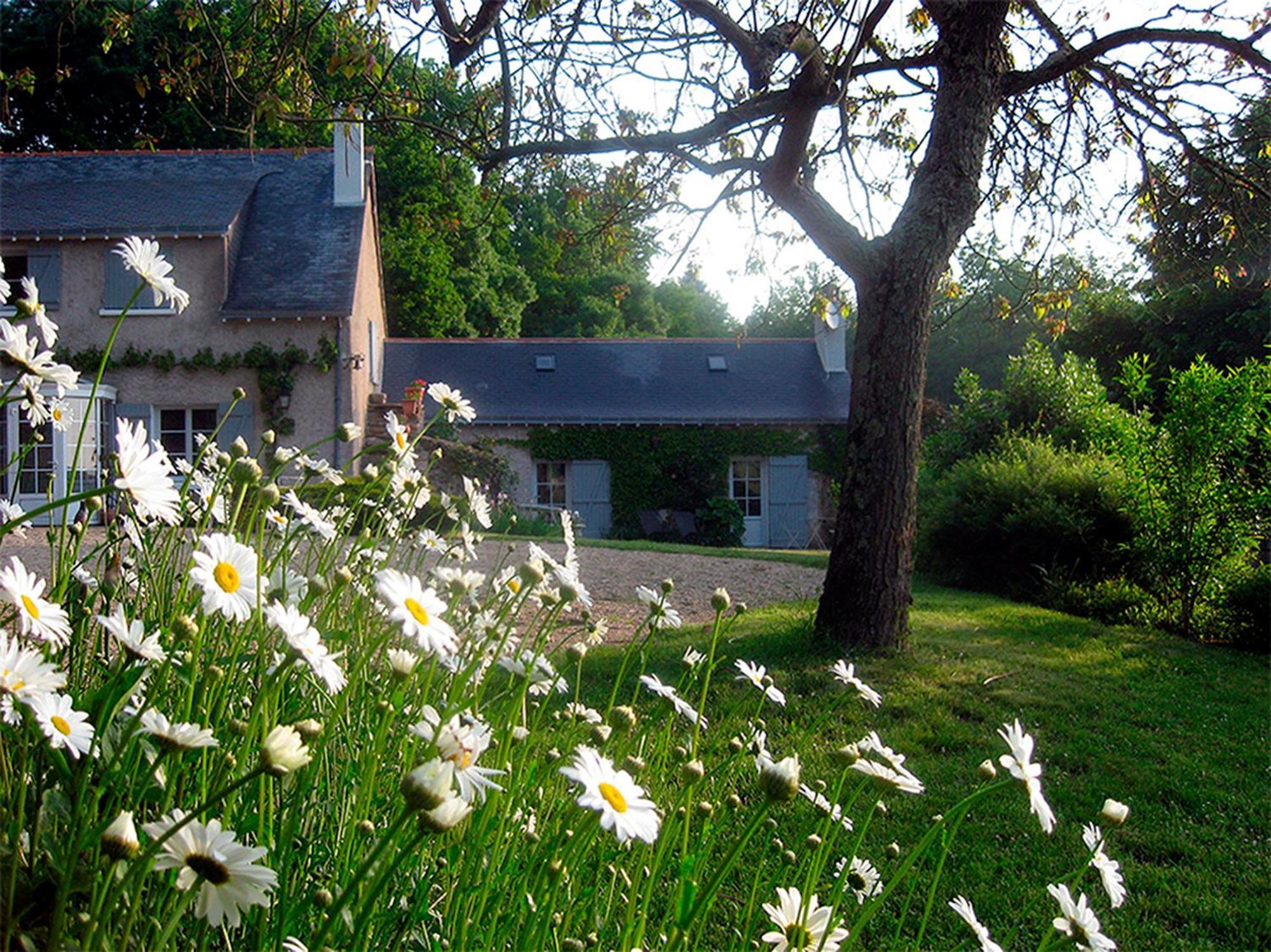 La Butte De Gohier Bed & Breakfast Blaison Dış mekan fotoğraf