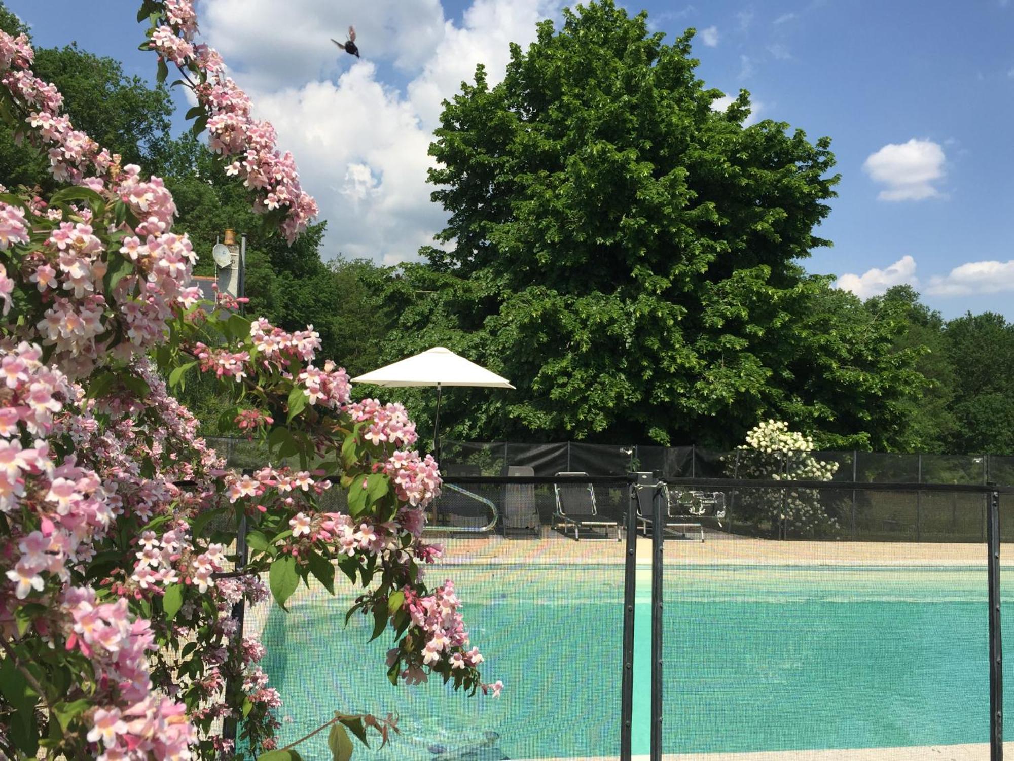 La Butte De Gohier Bed & Breakfast Blaison Dış mekan fotoğraf