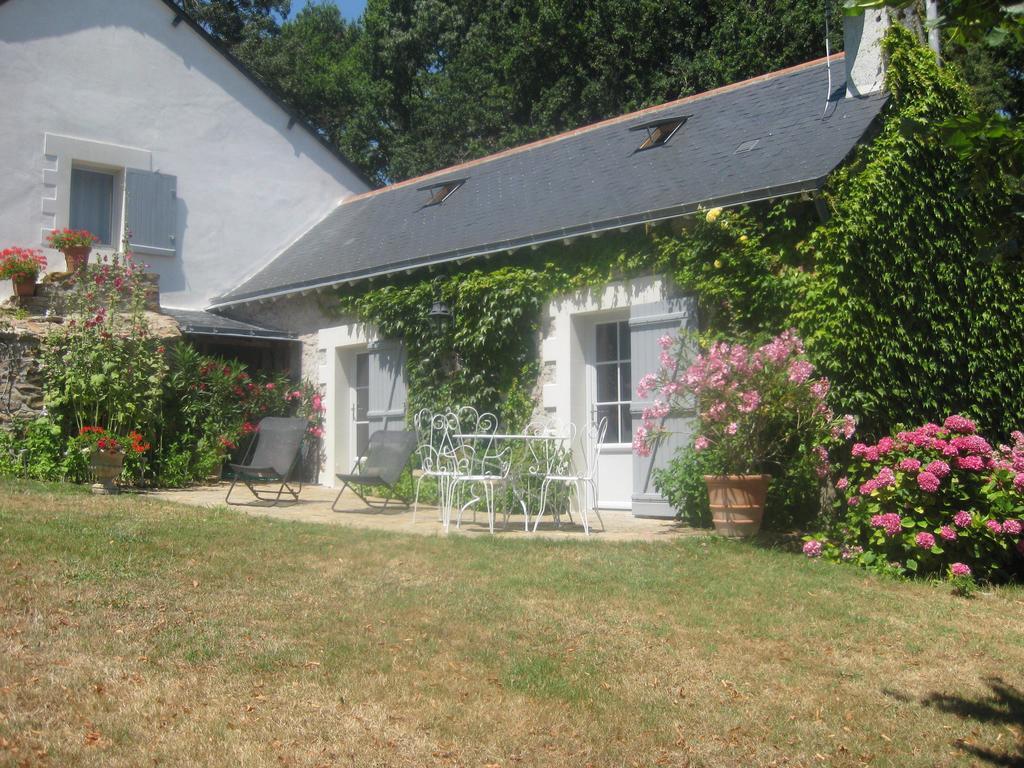 La Butte De Gohier Bed & Breakfast Blaison Dış mekan fotoğraf